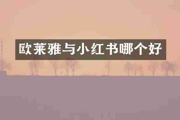 欧莱雅与小红书哪个好