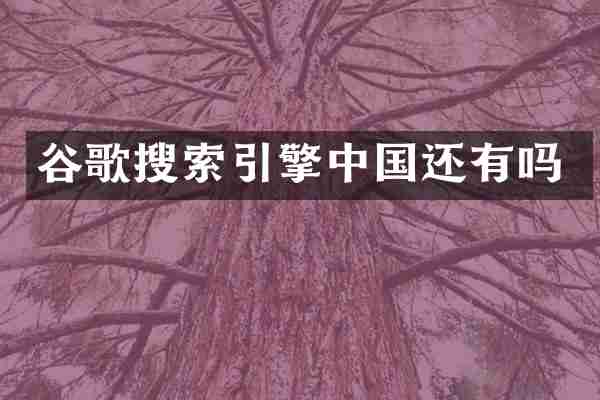 谷歌搜索引擎中国还有吗