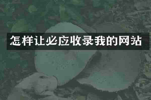 怎样让必应收录我的网站