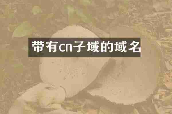 带有cn子域的域名