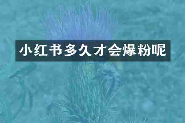 小红书多久才会爆粉呢