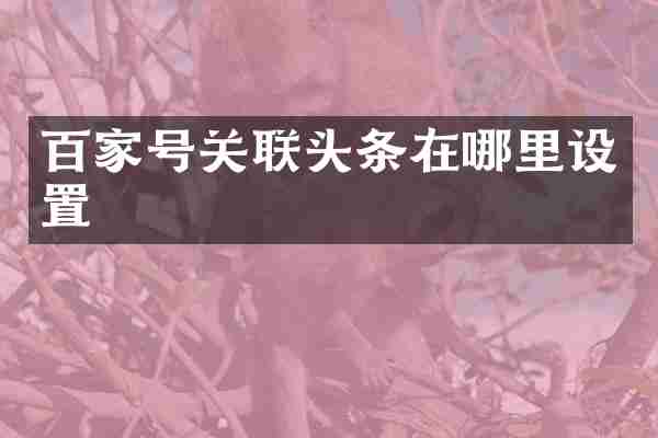 百家号关联头条在哪里设置