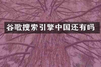 谷歌搜索引擎中国还有吗