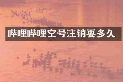哔哩哔哩空号注销要多久