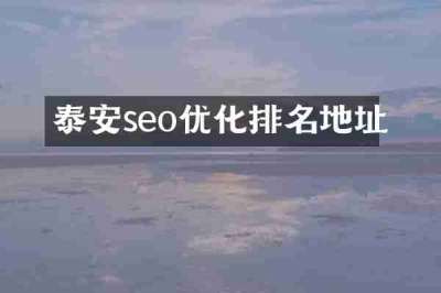 泰安seo优化排名地址