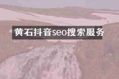 黄石抖音seo搜索服务