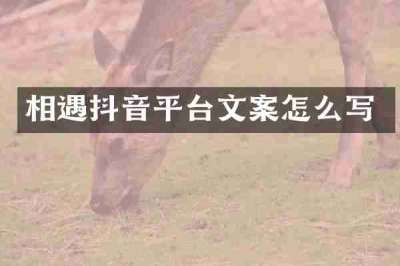 相遇抖音平台文案怎么写