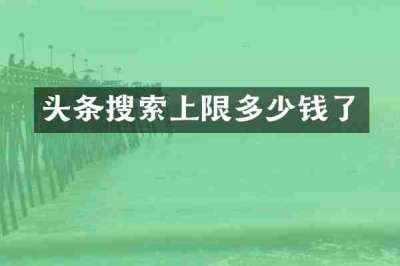 头条搜索上限多少钱了