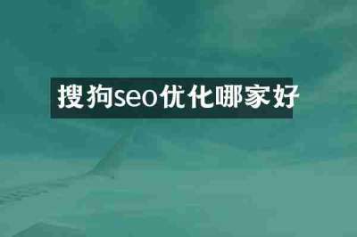 搜狗seo优化哪家好