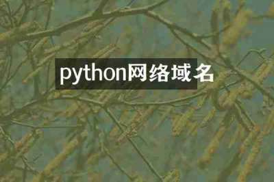 python网络域名