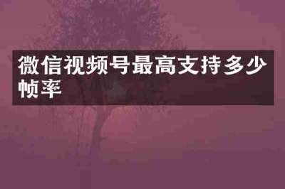 微信视频号最高支持多少帧率