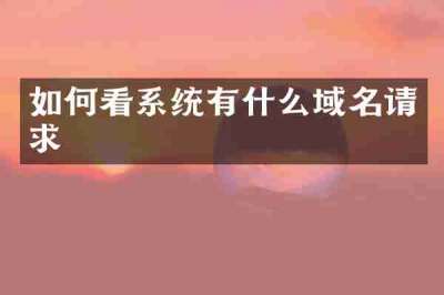 如何看系统有什么域名请求