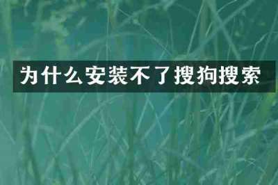 为什么安装不了搜狗搜索
