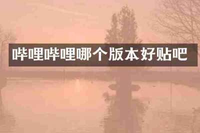 哔哩哔哩哪个版本好贴吧