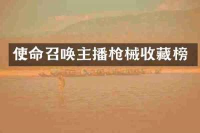 使命召唤主播枪械收藏榜