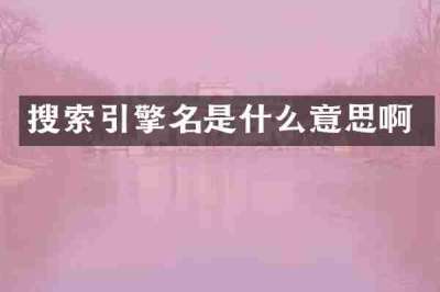 搜索引擎名是什么意思啊