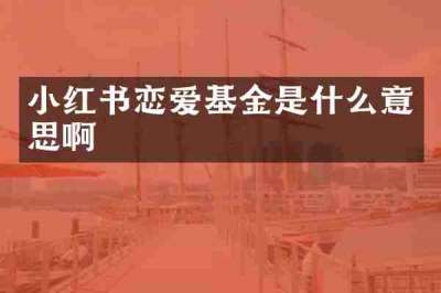 小红书恋爱基金是什么意思啊