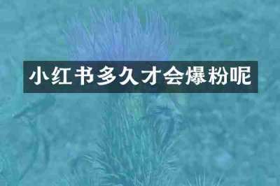 小红书多久才会爆粉呢
