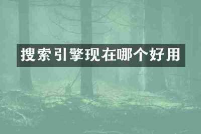 搜索引擎现在哪个好用