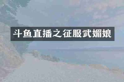 斗鱼直播之征服武媚娘