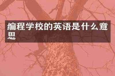 编程学校的英语是什么意思