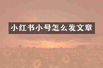 小红书小号怎么发文章