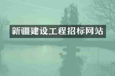 新疆建设工程招标网站