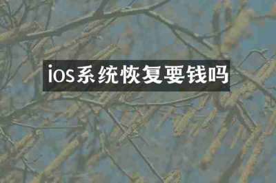 ios系统恢复要钱吗