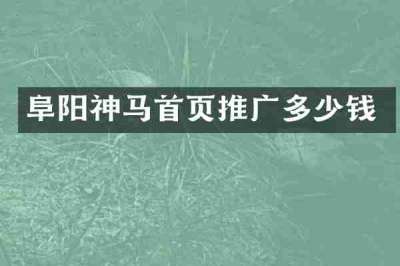 阜阳神马首页推广多少钱