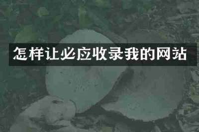 怎样让必应收录我的网站