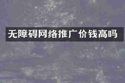 无障碍网络推广价钱高吗