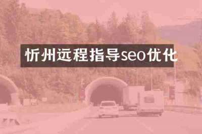 忻州远程指导seo优化