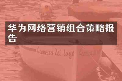 华为网络营销组合策略报告