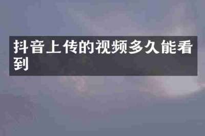 抖音上传的视频多久能看到