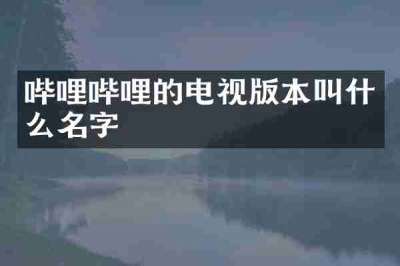 哔哩哔哩的电视版本叫什么名字