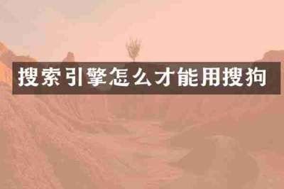 搜索引擎怎么才能用搜狗