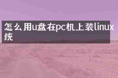 怎么用u盘在pc机上装linux系统