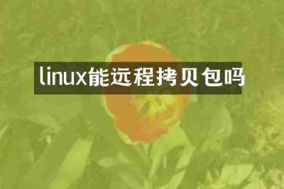 linux能远程拷贝包吗
