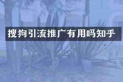 搜狗引流推广有用吗知乎