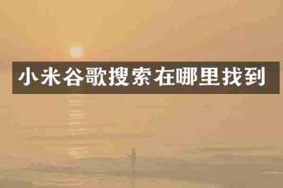 小米谷歌搜索在哪里找到