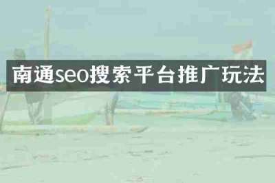 南通seo搜索平台推广玩法