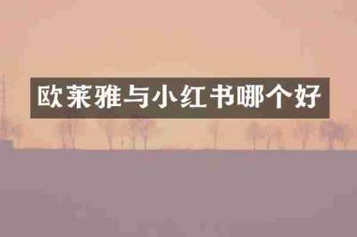 欧莱雅与小红书哪个好
