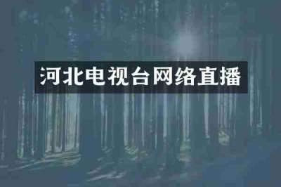河北电视台网络直播