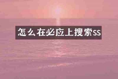 怎么在必应上搜索ss