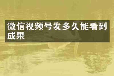 微信视频号发多久能看到成果