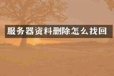 服务器资料删除怎么找回