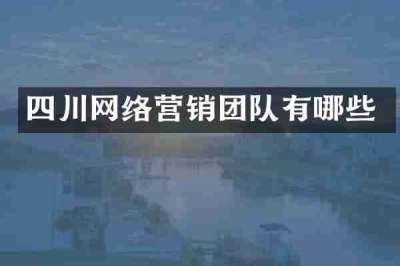 四川网络营销团队有哪些