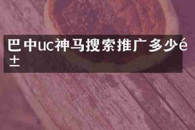 巴中uc神马搜索推广多少钱