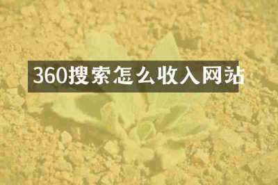 360搜索怎么收入网站