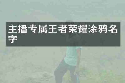 主播专属王者荣耀涂鸦名字